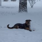 Pam Steinke - Facebook