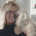 Pam Meyer Stephenson - @pammeyerstephenson - Instagram