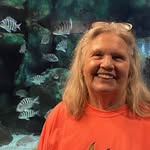 Pam Stepps - @pamstepps - Instagram