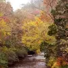 Pam Stiles940 - @pamstiles3 - TikTok