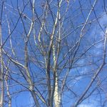 Pamela K Stockman - @pamela.stockman.1 - Instagram