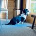 Pam Stokes - Facebook