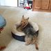 Pam Stokes - Facebook