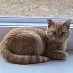 Pam Stokes Terry - @psterry22 - Instagram