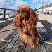 Pam Storey - Facebook