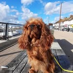 Pam Storey - @storey7397 - Instagram
