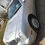 Kelso - @stowellspam11 - Instagram