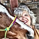 pam stowell - @pstowell - Instagram