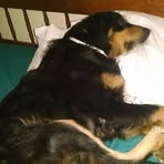 Pam Stowell - Facebook