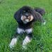 Pam Stratton - Facebook
