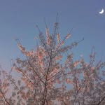 𝑷𝒂𝒎 𝑺𝒕𝒓𝒂𝒘𝒃𝒆𝒓𝒓𝒚 - @pam_strawberry - Instagram