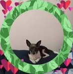 Pam Stringfellow - Facebook