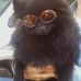 Pam Stringfield - Facebook