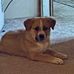 Pam Stultz - Facebook