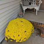 Pam Stumpf - @pam.stumpf.92 - Instagram