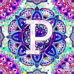 Pam Sumner - @pamsumner2 - Instagram