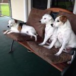 Pam Sumner - @sumner.p - Instagram