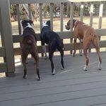 Pam Sutter-Kanter - @sutterkanter - Instagram