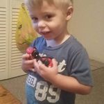 Pam Tanner - @pamtanner7836 - Instagram