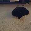 pam_tanner - @pam_tanner - TikTok