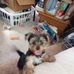 Pam Tanner - Facebook