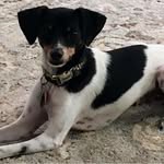 Pam Tapscott - @tapscottpamela - Instagram