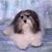 Pamm Tapscott-Elder - Facebook