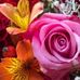 Pam Tarr - Facebook