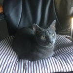 Pam Tarr Taylor - @pltaylor85 - Instagram