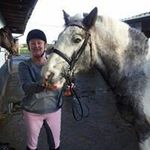 Pam Tate - @pamtate01 - Instagram