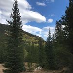 Pam Tate Long - @huskergirl - Instagram