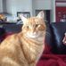 Pam Templeton - Facebook
