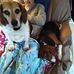 Pam Terrell - Facebook