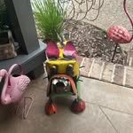 pam terrell - @pamterrell3 - Instagram