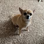 Pam Terrill - @pterrill123 - Instagram