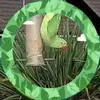 pamelajeantester - @pamelajeantester - TikTok