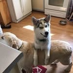 Pam Wode Tharp - @pam.tharp - Instagram
