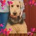 Pamela Thatcher Crum - Facebook