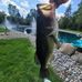 Pam Threet - Facebook