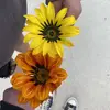 spam_tilly2 - @spam_tilly23 - TikTok