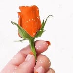 Pam Deneo Tindle Buskey - @deneo_61 - Instagram