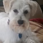 Pam Tindle - @pjtindle - Instagram
