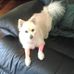 Pam Toal - Facebook