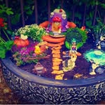 Pam Todd - @toddsonline1 - Instagram