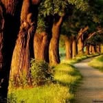 Pamela S. Truitt Tolbert - @pstol4488 - Instagram