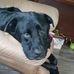 Pam Toner - Facebook