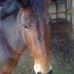 Pam Towner - Facebook