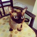 Pam Trainor - @trainor_pam - Instagram