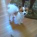 Pam Trapp - Facebook