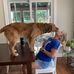 Pam Trapp - Facebook